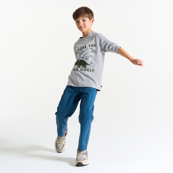 تيشيرت مزين برسمة ديناصور، باللون الرمادي للأولاد.